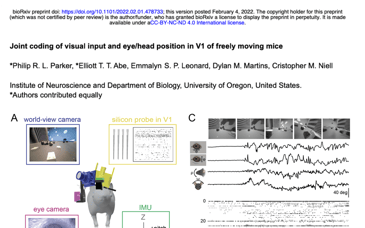 Case Study: Joint Coding of Visual Input and Eye/head Position in V1 of Freely Moving Mice